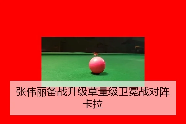 张伟丽备战升级草量级卫冕战对阵卡拉